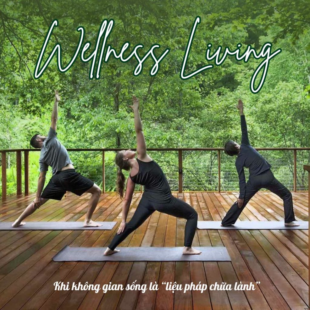 CÔNG TY TNHH ANH HOÀNG THY